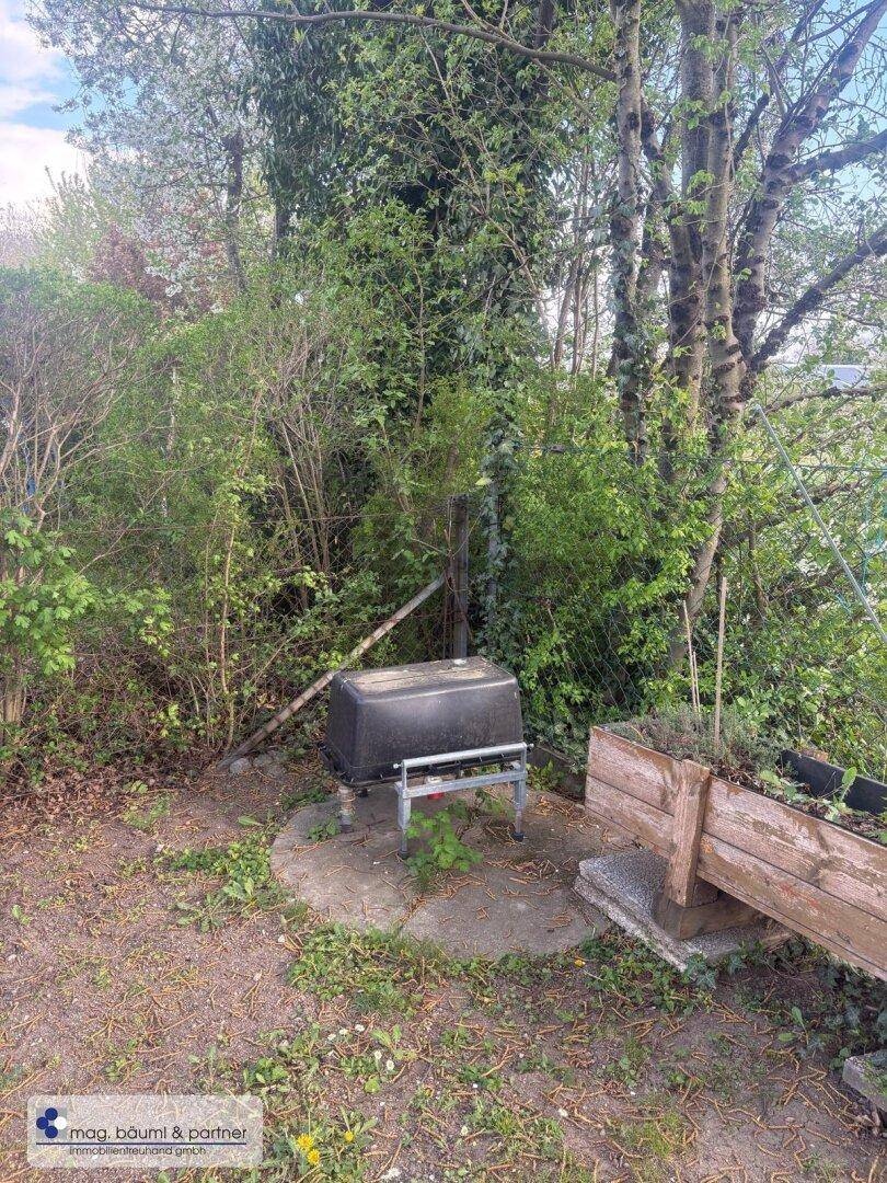 Gartenbereich mit Hochbeet, Komposter und üppiger Vegetation, ideal für den Anbau.