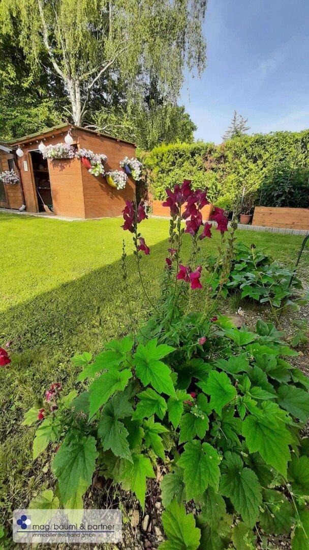 Grüner Garten mit Rasenfläche, Blumenbeeten und einem kleinen Gartenhaus.