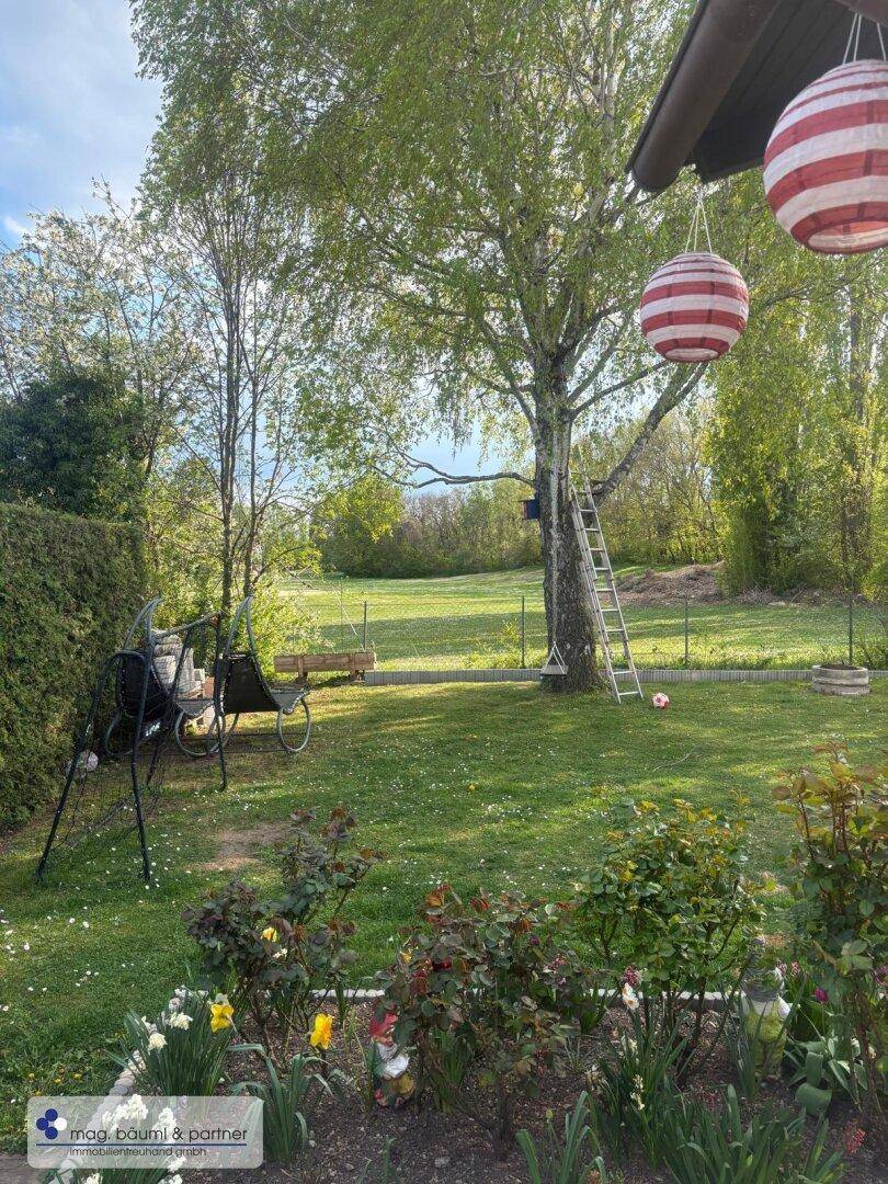 Sonniger Garten mit Rasen, Bäumen, Schaukeln und bunten Laternen für eine gemütliche Atmosphäre.