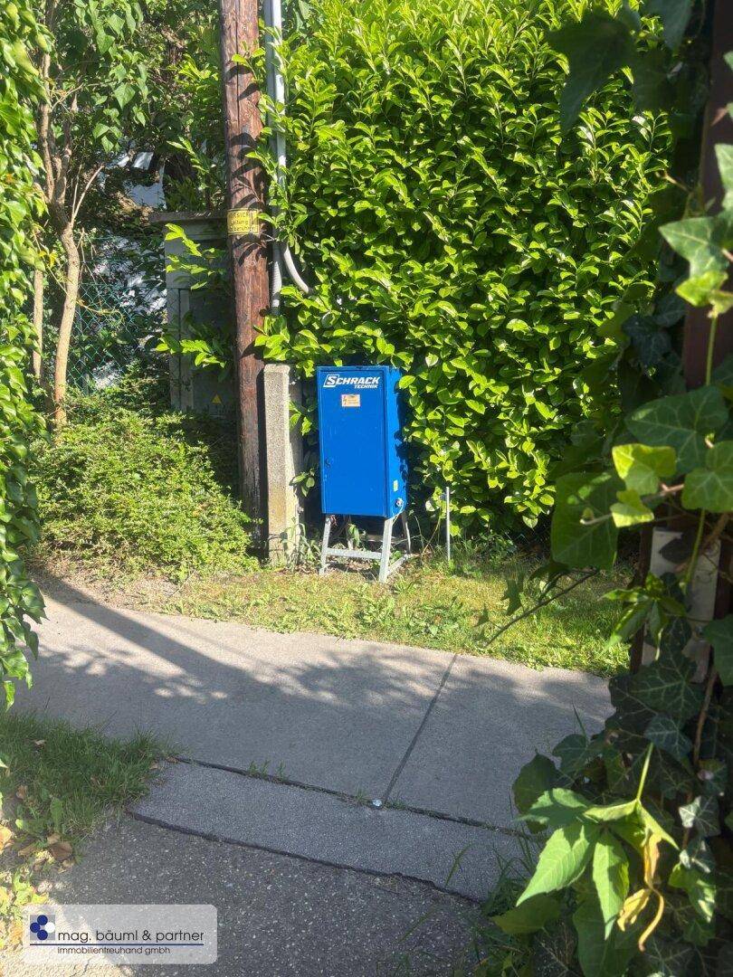 Gehweg neben einer dichten Hecke mit einem blauen Stromkasten am Wegesrand.