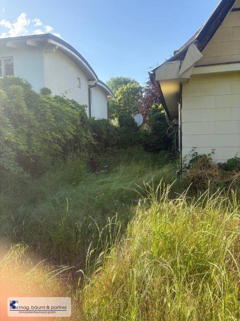 Seitenansicht des Hauses mit überwuchertem Grundstück und einem Nachbargebäude im Hintergrund.