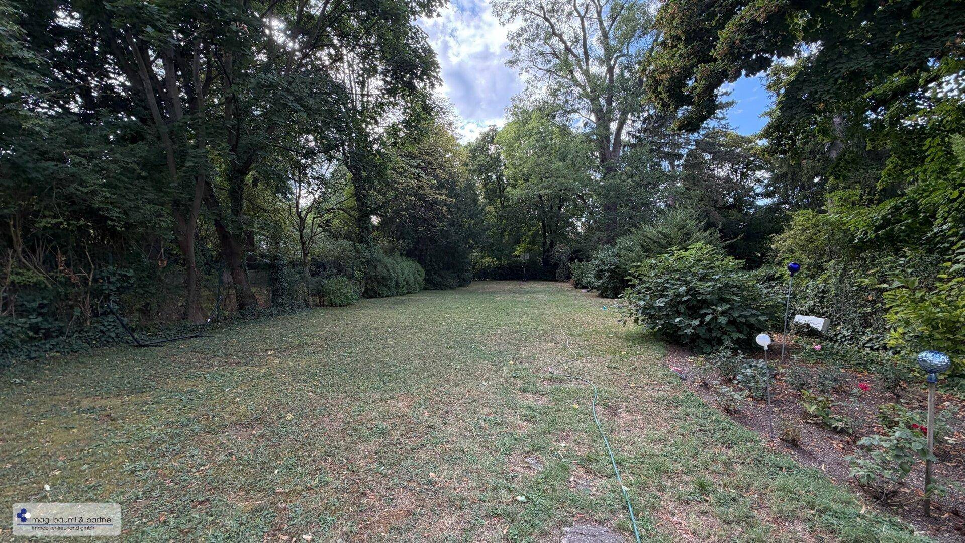 Weitläufiger Gartenbereich mit altem Baumbestand und gepflegter Rasenfläche.