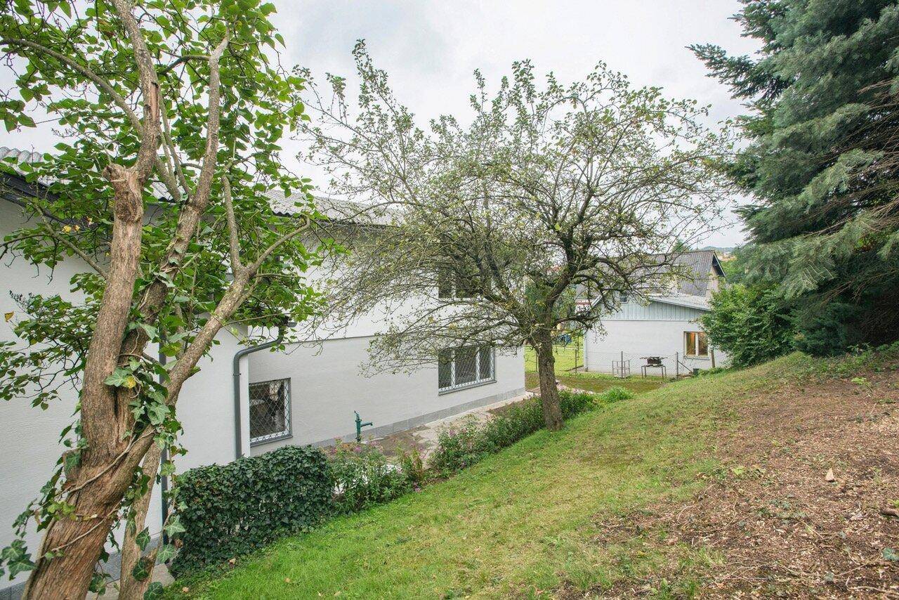 Rückseite des Hauses mit Gartenbereich, Bäumen und einer leicht abfallenden Rasenfläche.