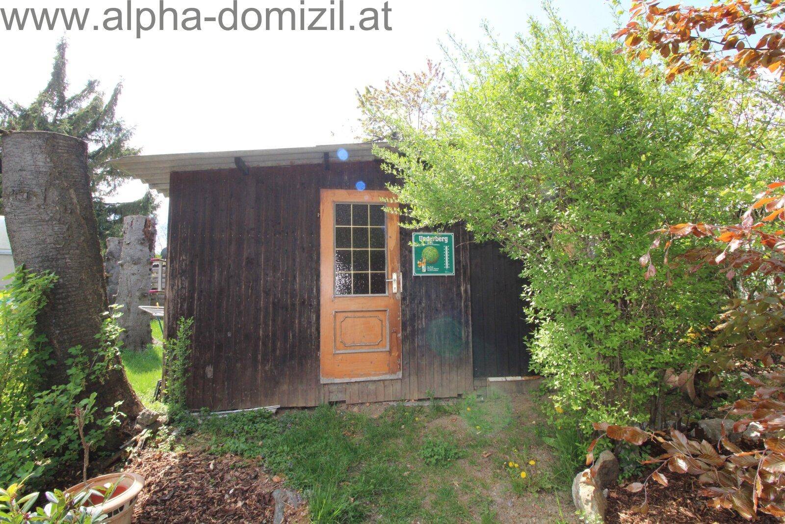 Rustikaler Holzschuppen im Garten mit einer kleinen Tür und umgebender Vegetation.