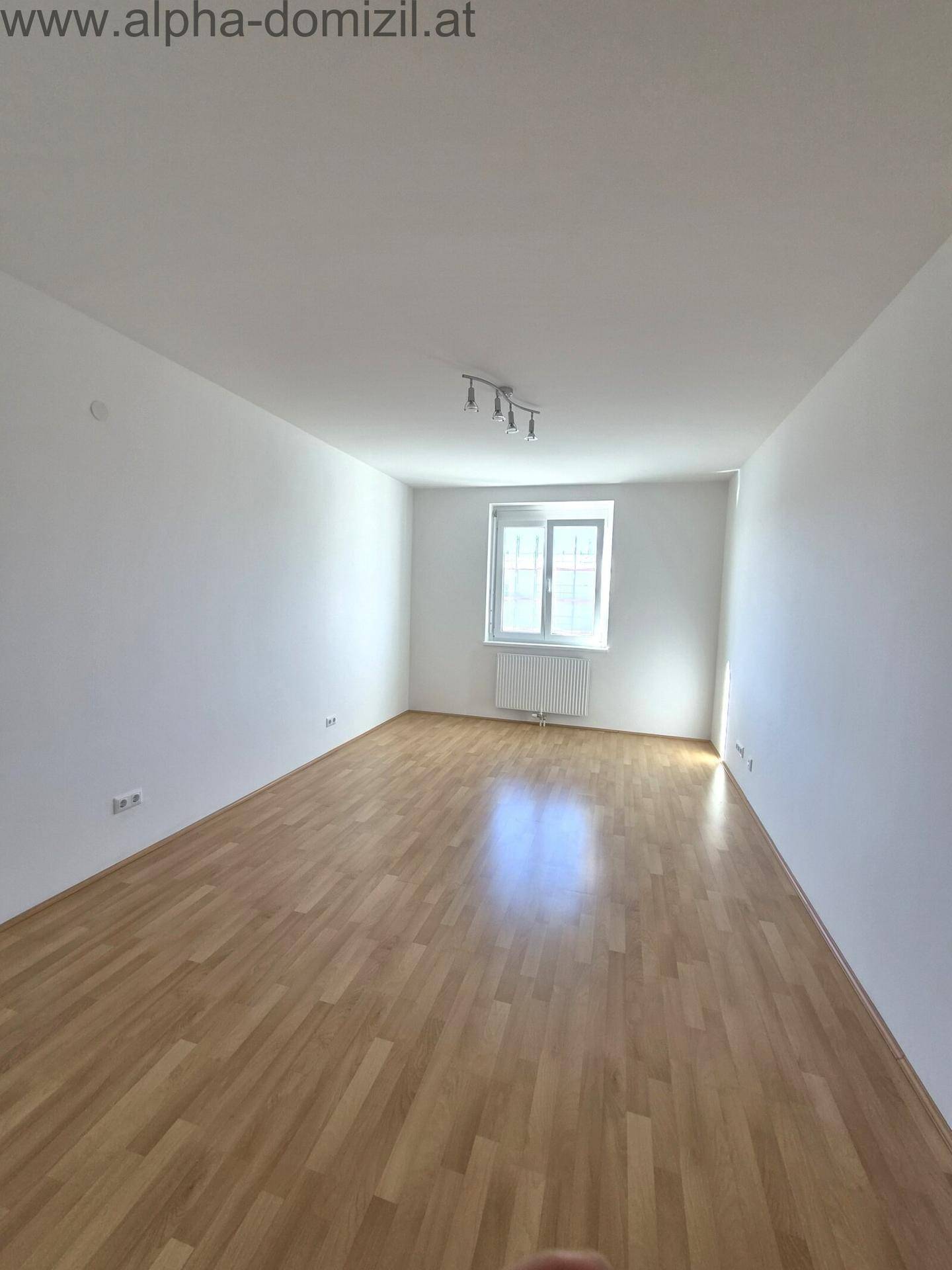 Leeres Zimmer mit Laminatboden und einem Fenster, das viel natürliches Licht hereinlässt.