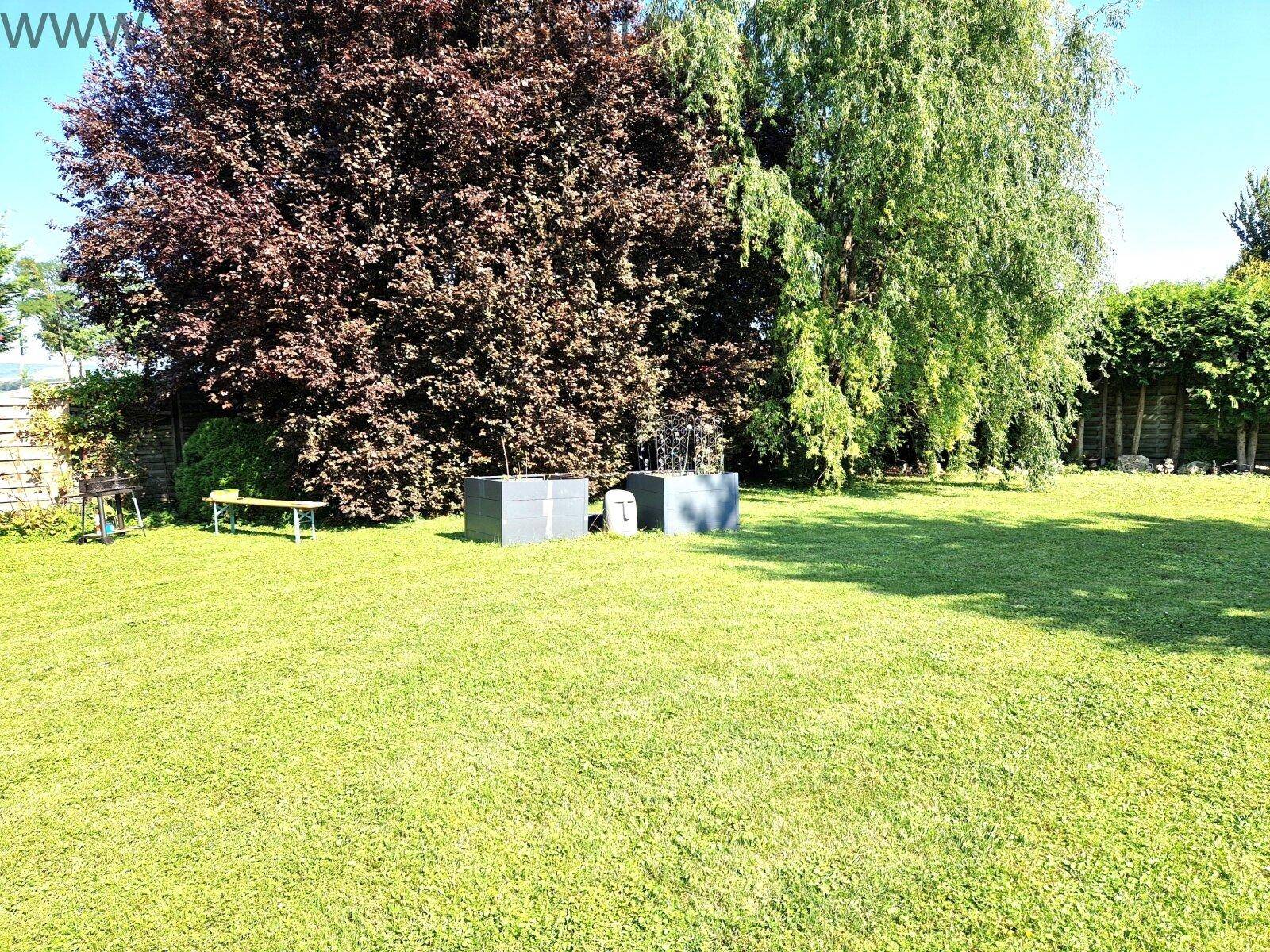 Großer Garten mit altem Baumbestand, weitläufigem Rasen und Outdoor-Möbeln im Sonnenlicht.