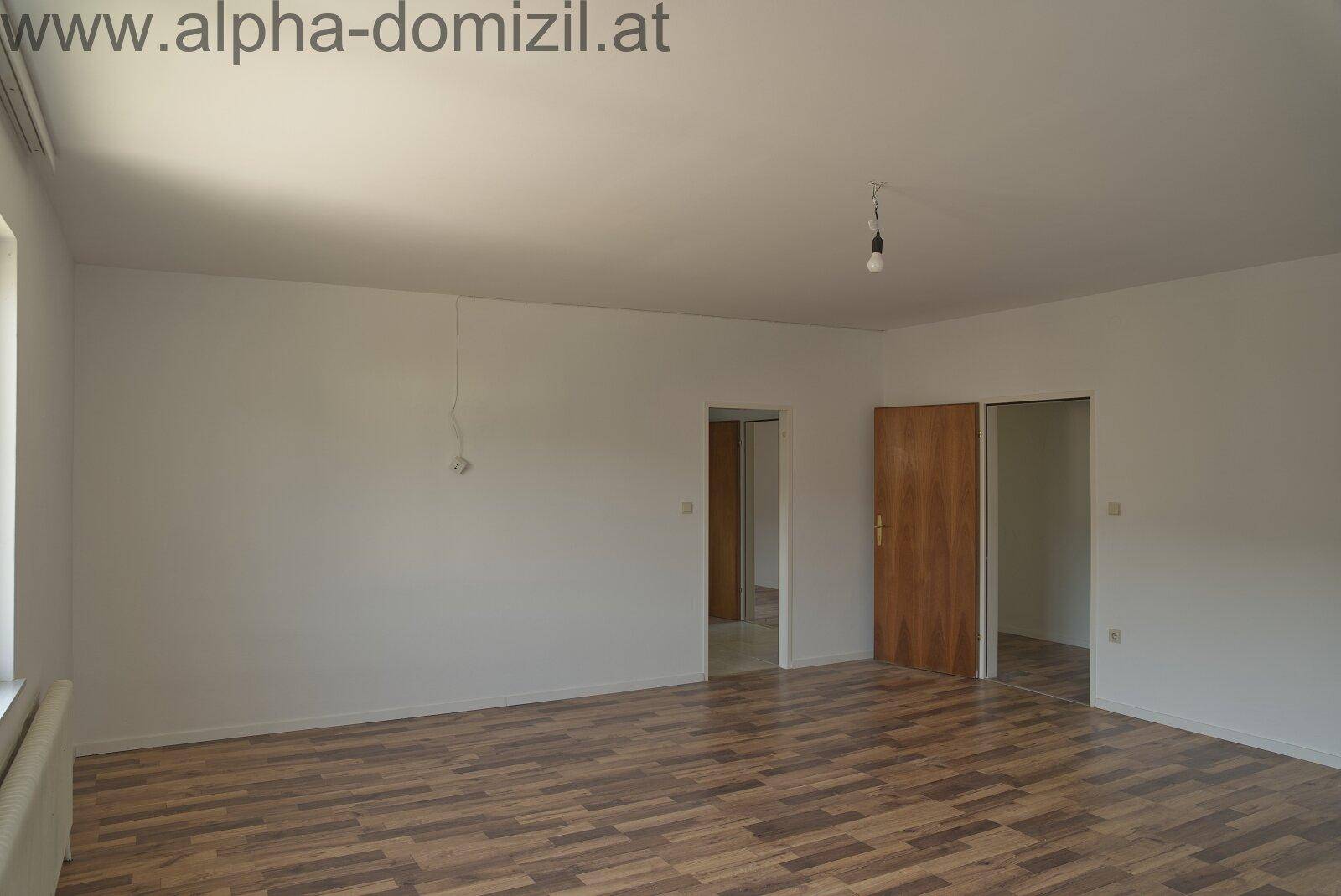 Großes Zimmer mit Laminatboden und zwei Türen, ideal für offenes Wohnen.