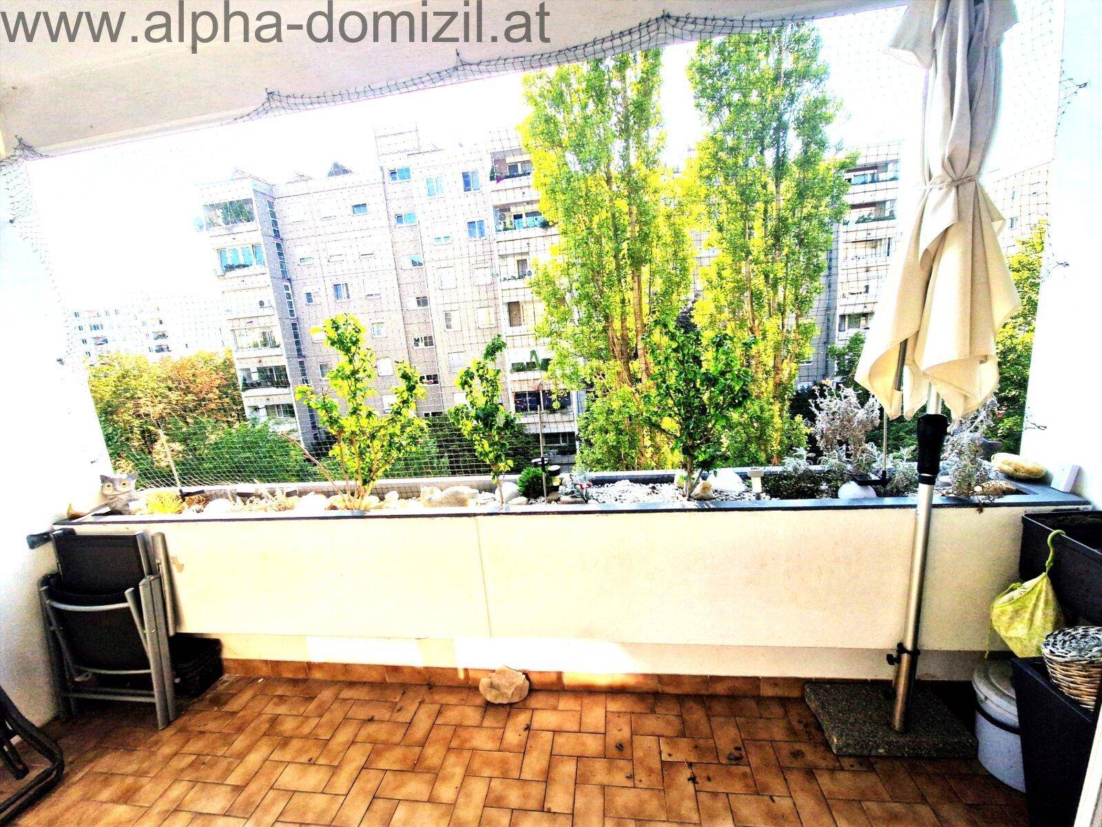 Sonniger Balkon mit Fliesenboden, Pflanzen und Blick auf umliegende Gebäude.