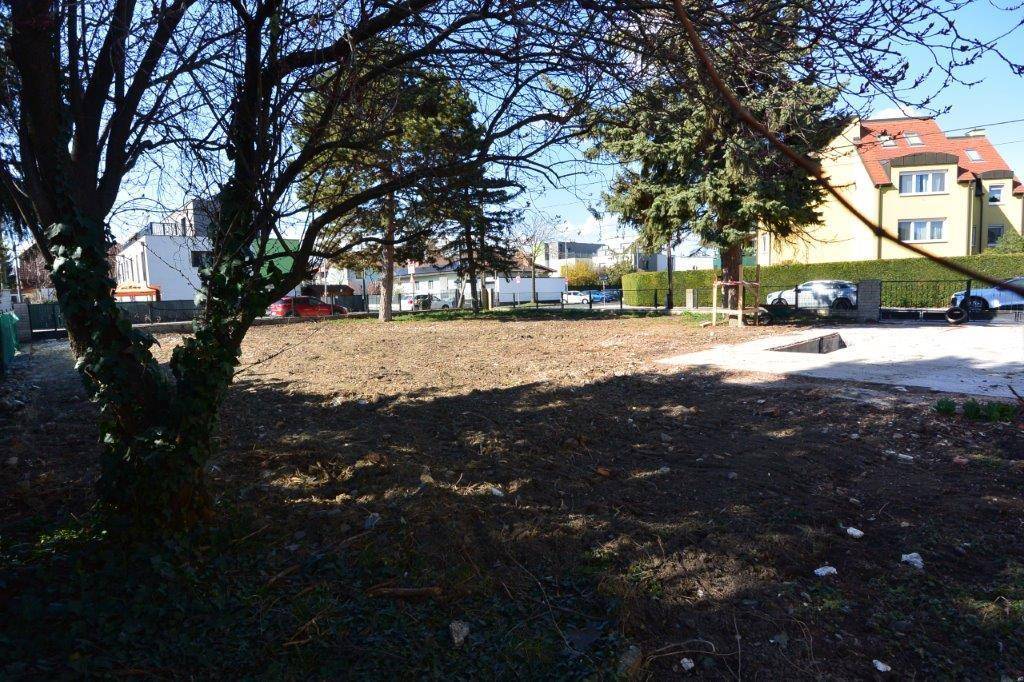 Offenes Grundstück mit Bäumen und Blick auf die Nachbarschaft an einem sonnigen Tag.
