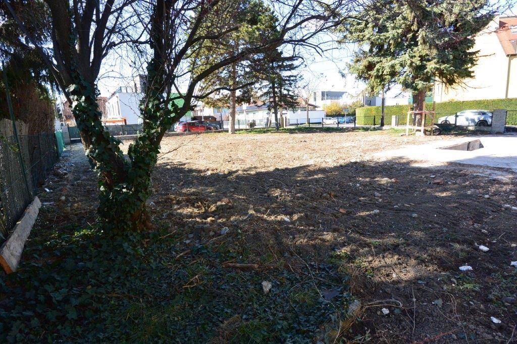 Leeres Grundstück mit Bäumen und einem Zaun, bereit für zukünftige Bauprojekte.