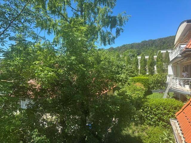 Üppige grüne Bäume und Vegetation unter blauem Himmel, mit Blick auf Dächer und die umliegende Landschaft.