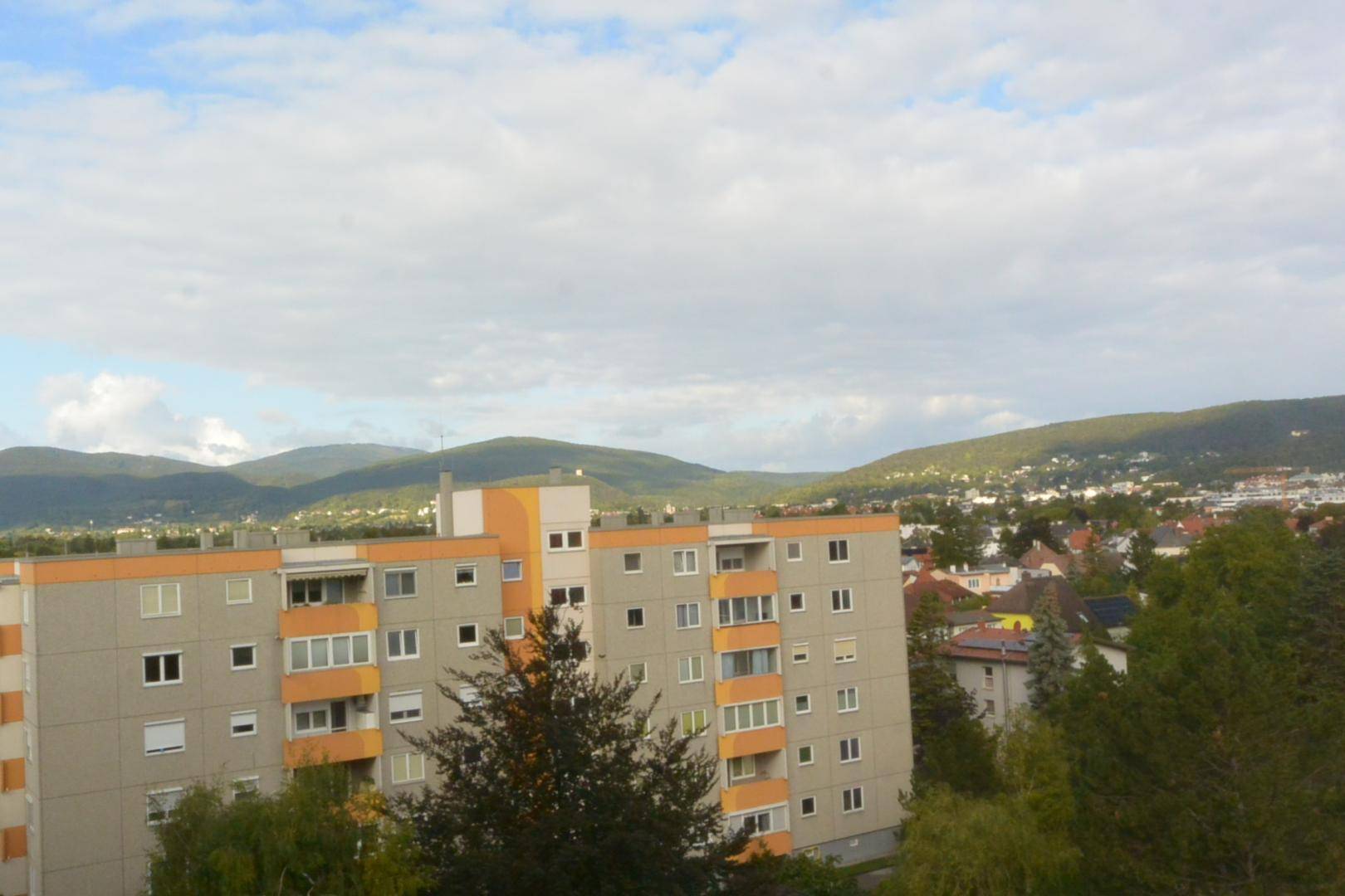 Weitblick über Wohngebäude und grüne Landschaft mit Bergen am Horizont.