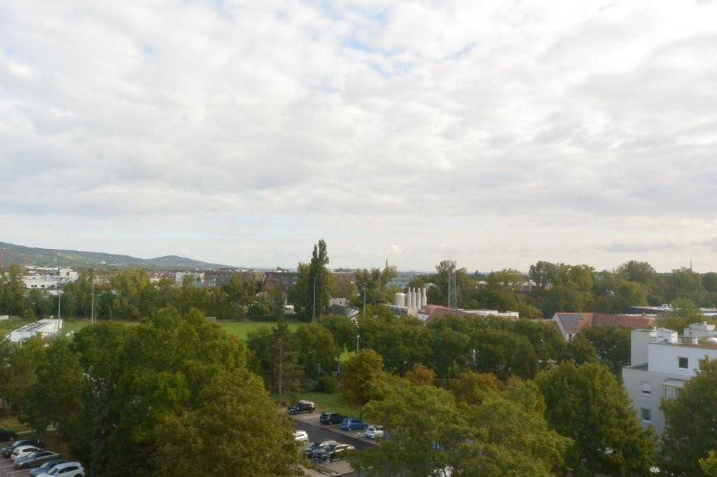 Panoramablick über ausgedehnte Grünflächen und Baumreihen mit städtischer Bebauung.