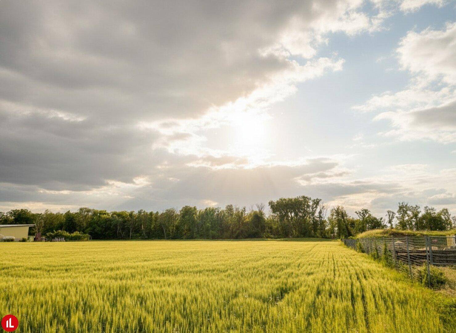 Grünes Feld unter einem teilweise bewölkten Himmel, die Sonne bricht durch die Wolken.