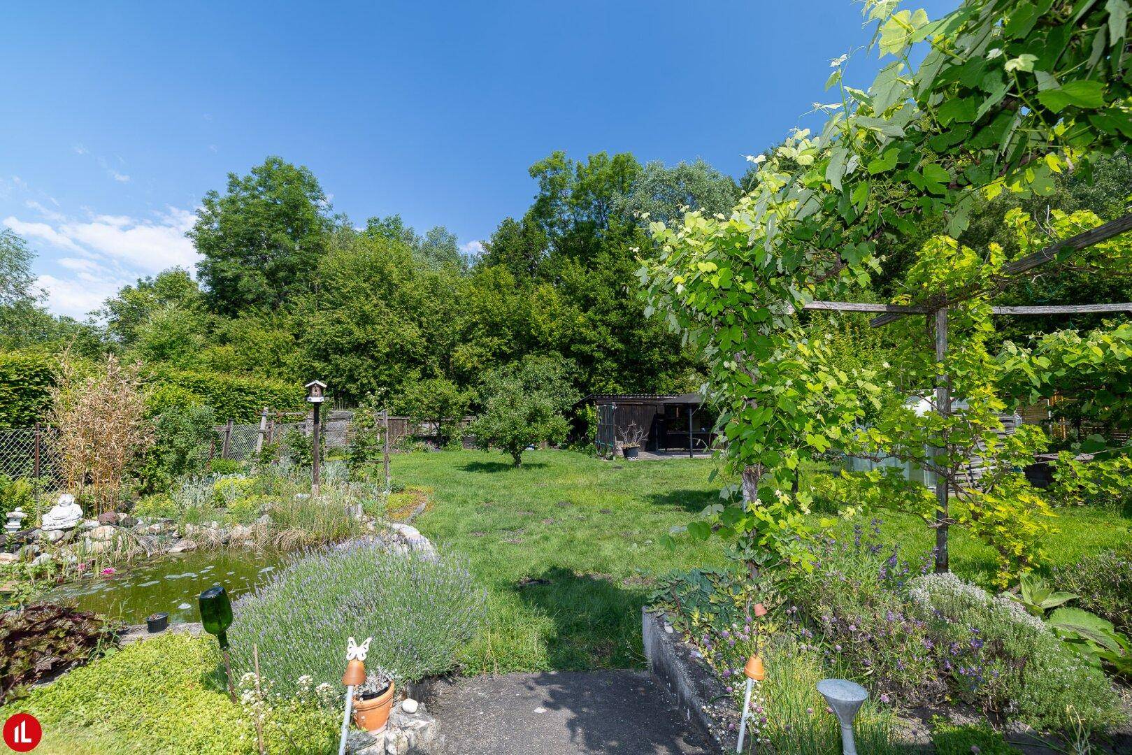Naturnaher Garten mit Teich, üppiger Bepflanzung und viel Grün.