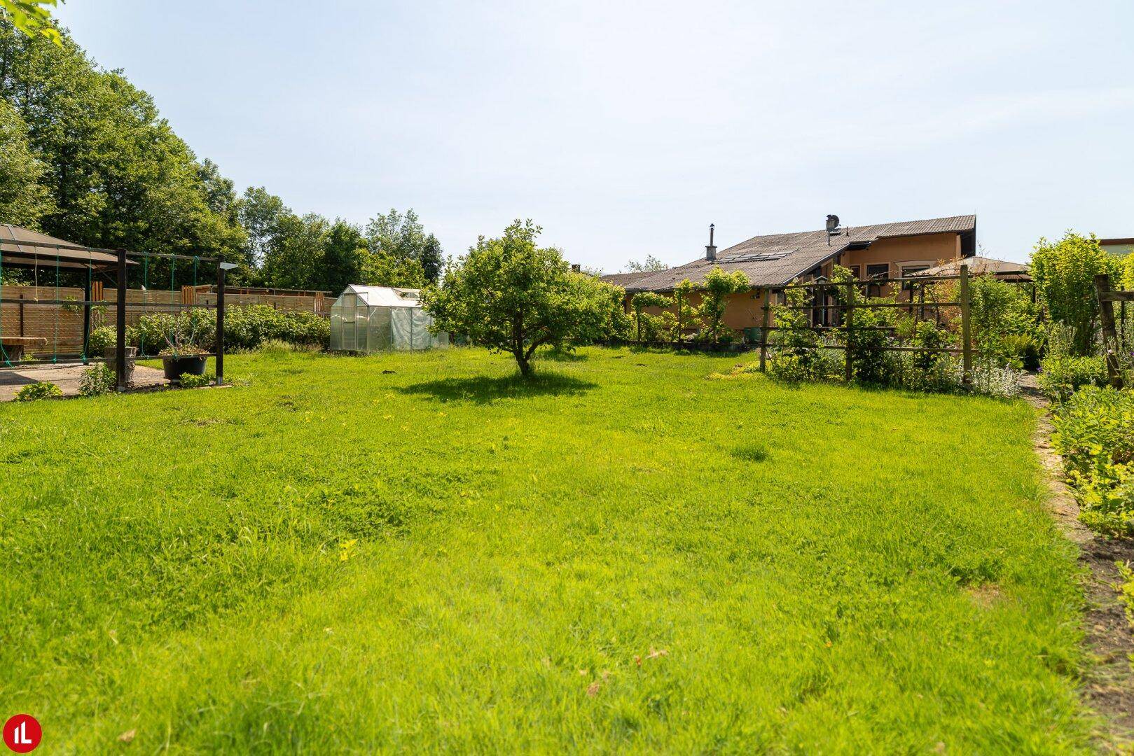 Weitläufige Rasenfläche im Garten mit Obstbaum und Gewächshaus im Hintergrund.