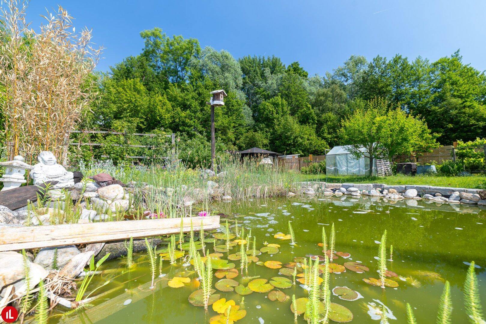 Detailansicht des Gartenteichs mit Seerosen und umgebender Bepflanzung.