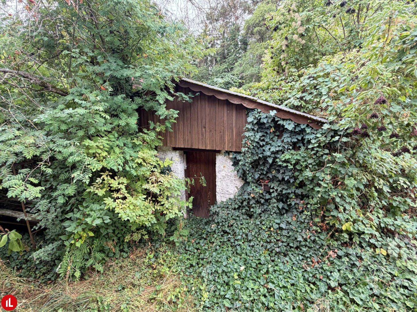 Altes, von Efeu überwuchertes Nebengebäude aus Stein und Holz im Garten.