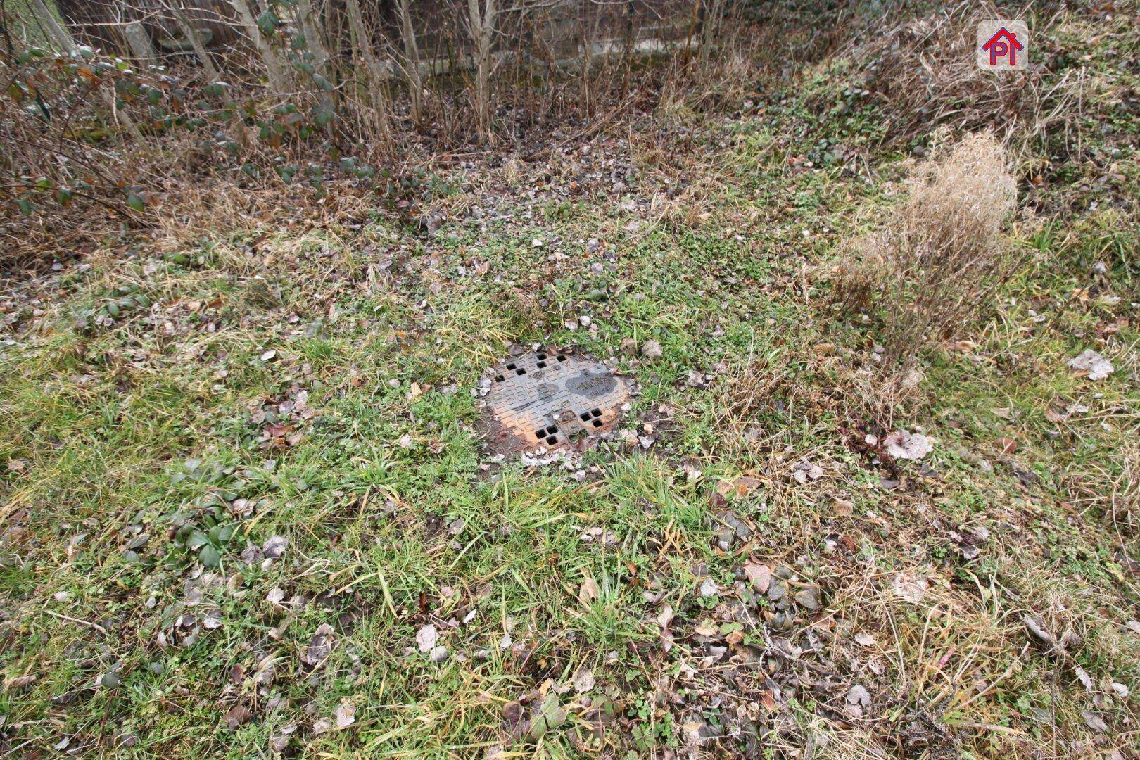 Nahaufnahme eines Kanaldeckels in einem bewachsenen, grasbewachsenen Bereich des Grundstücks.