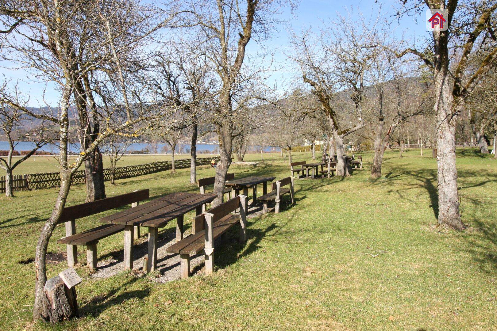 Gemütlicher Außenbereich mit Holztischen und Bänken unter Bäumen, ideal für Picknicks mit Blick auf den See.