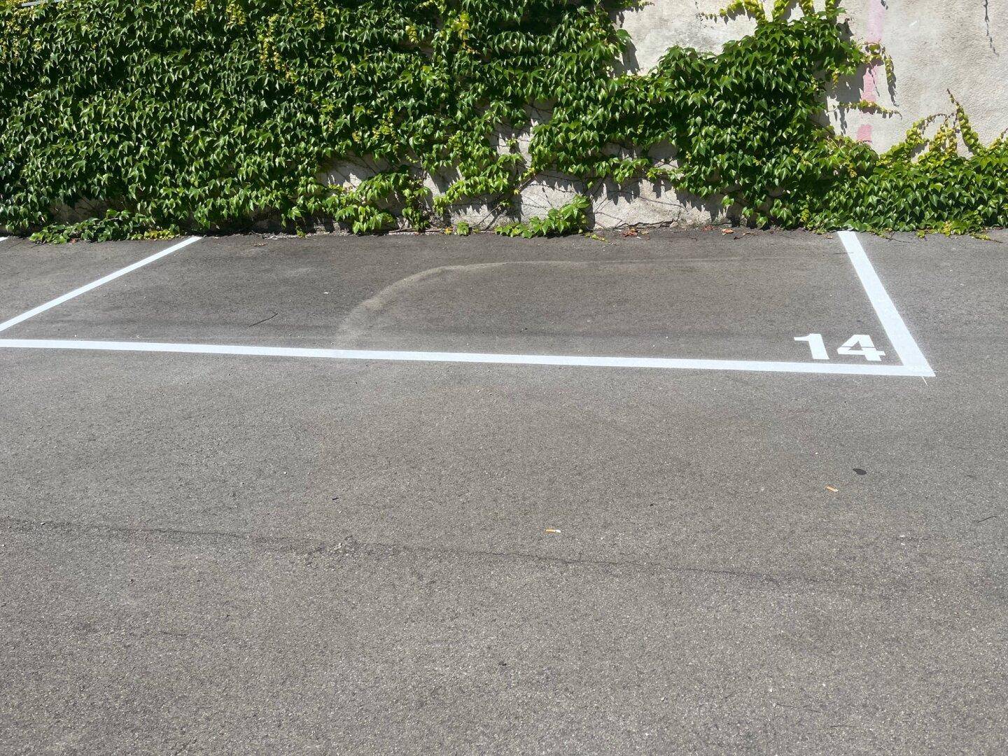 Markierter Außenparkplatz auf Asphalt mit Nummer 14 vor einer grünen Efeuwand.
