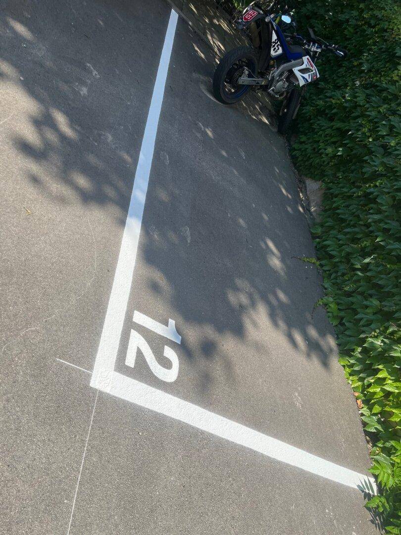 Einzelner markierter Außenparkplatz auf Asphalt neben einer dicht bewachsenen grünen Wand.