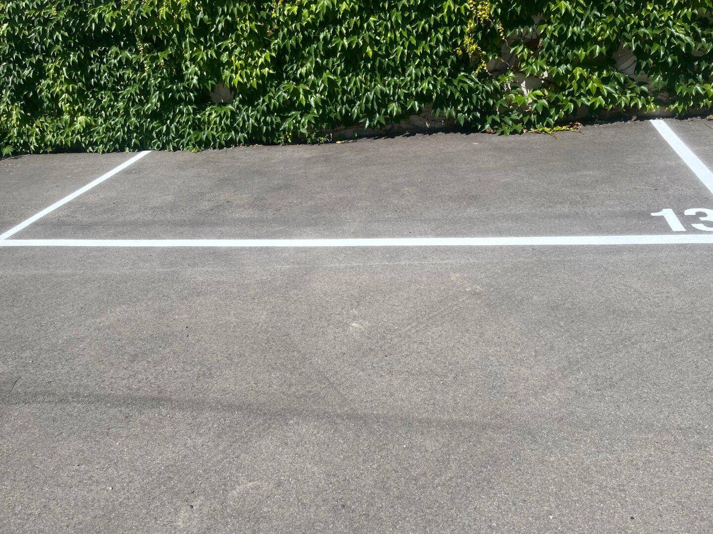 Markierter Außenparkplatz auf Asphalt vor einer üppig bewachsenen grünen Wand.
