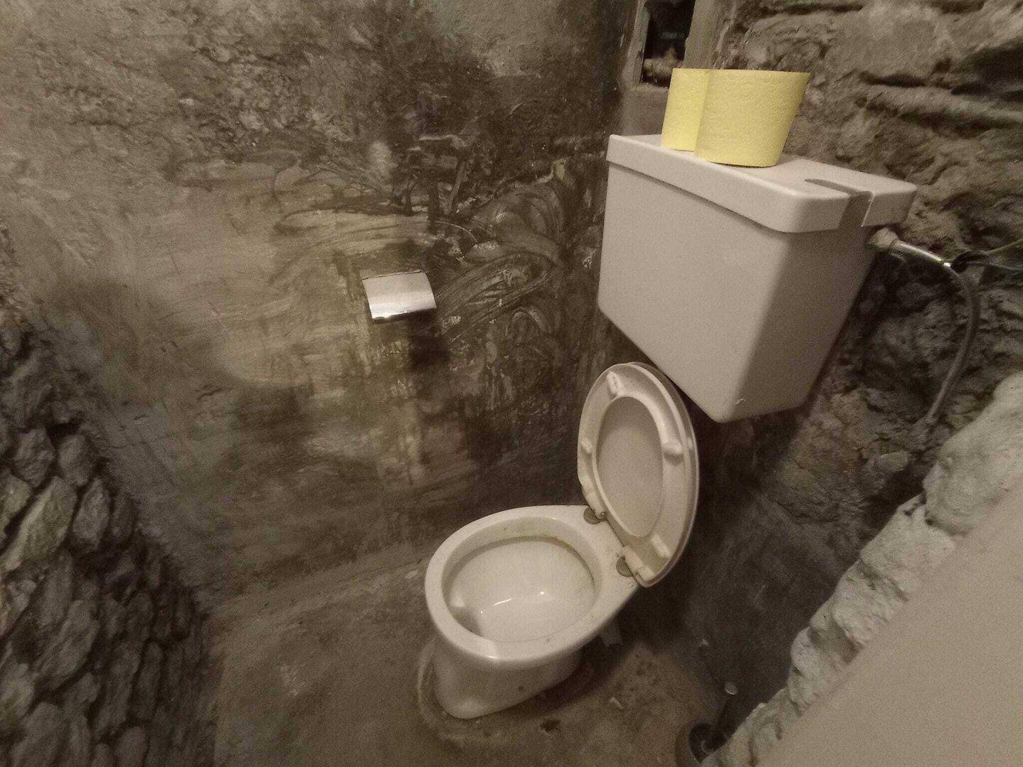 Einfache Toilette in einem Kellerraum mit unverputzten Steinwänden und einem sichtbaren Spülkasten.