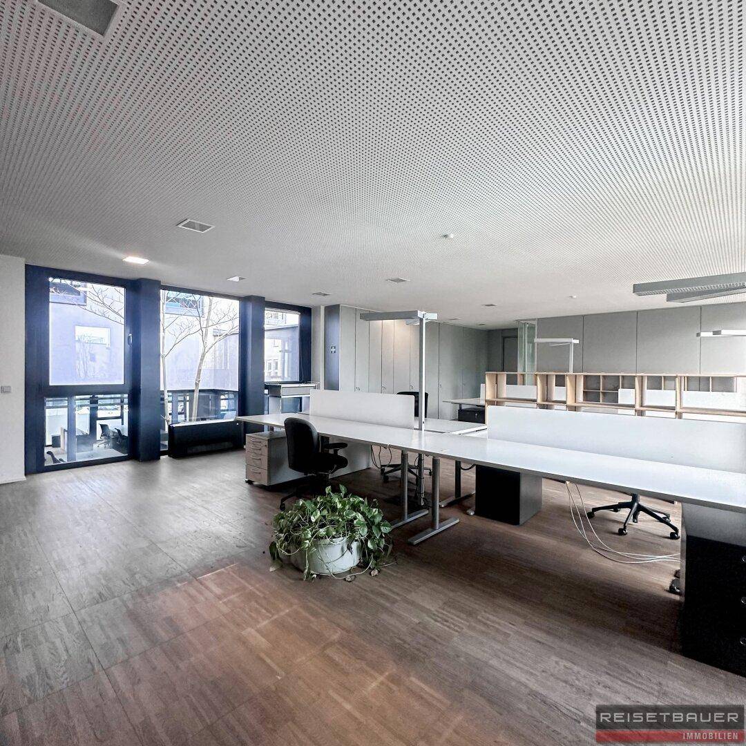 Großzügiges Büro mit vielen Arbeitsplätzen, großen Fenstern und natürlichem Lichteinfall.