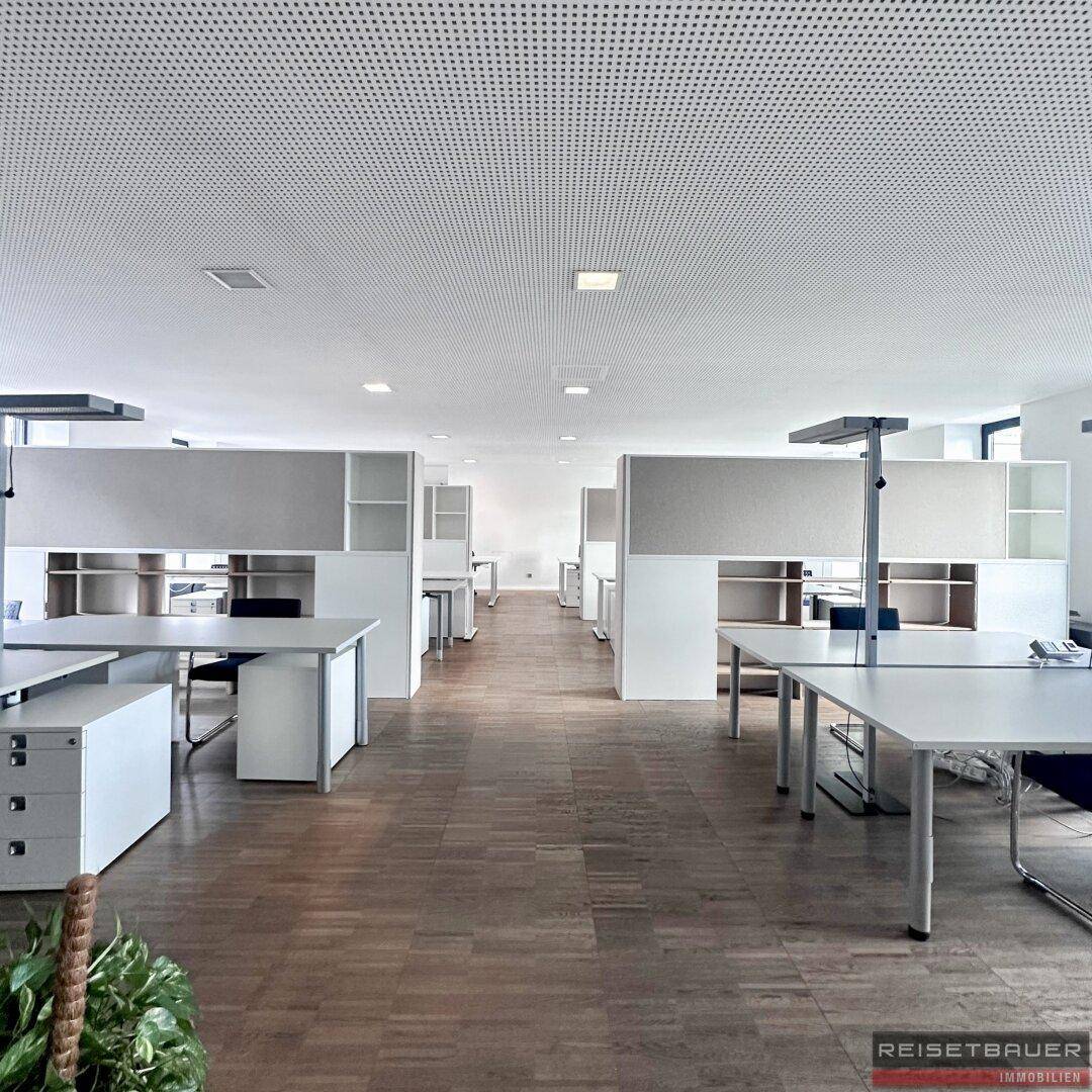Geräumiges Großraumbüro mit modernen Schreibtischen, Trennwänden und hellem Holzfußboden.