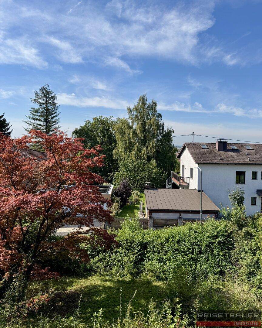 Panoramablick auf die grüne Umgebung mit benachbarten Häusern und weitem Himmel.