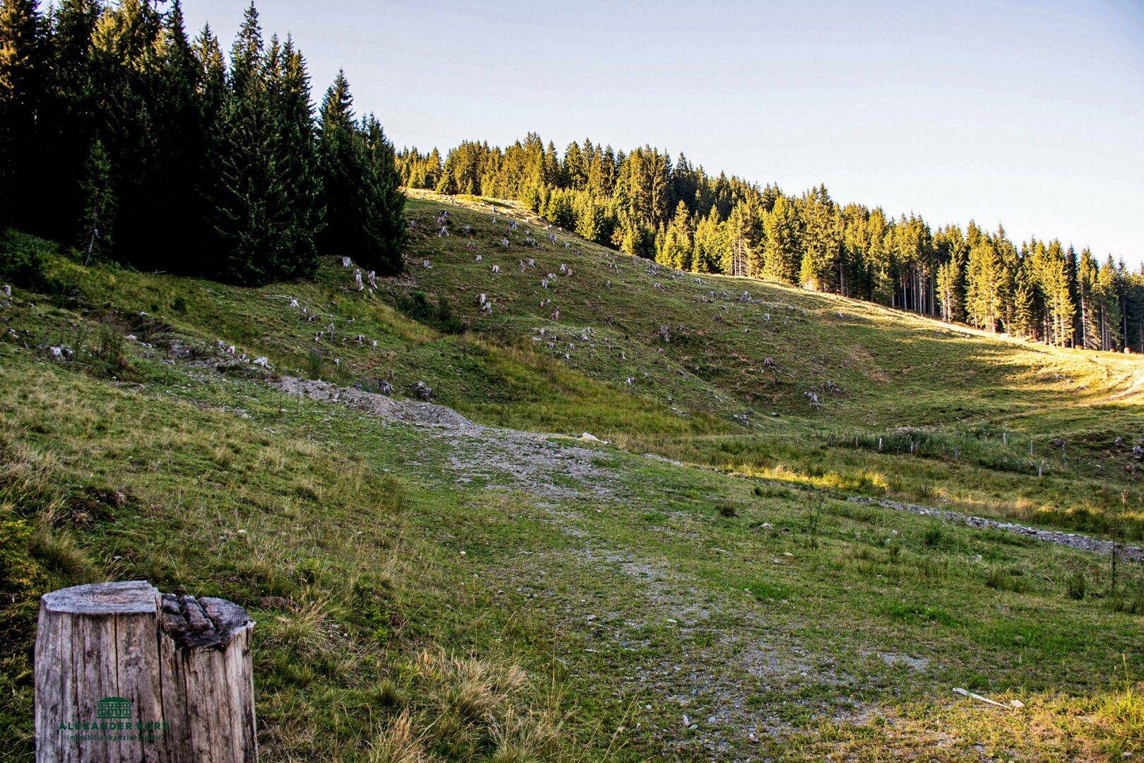 Ski-/Almhütte im Skigebiet Saalbach-Hinterglemm - Ansicht 3
