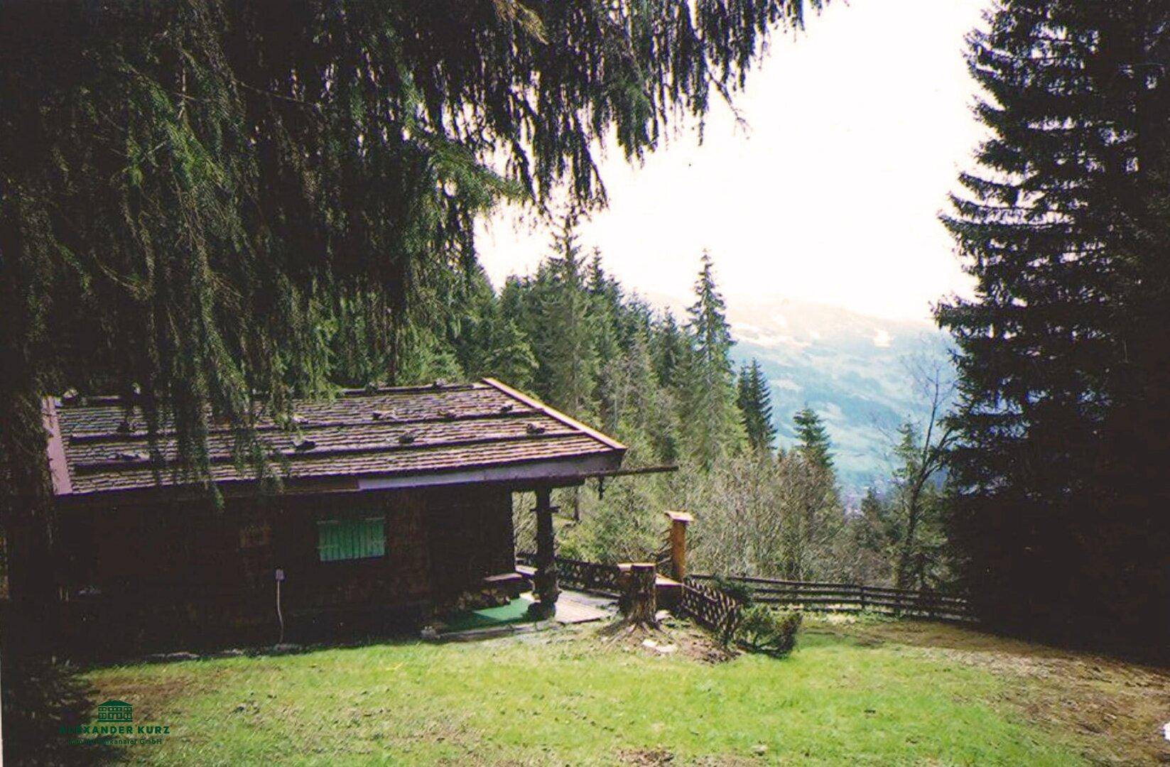 Ski-/Almhütte im Skigebiet Saalbach-Hinterglemm - Ansicht 2