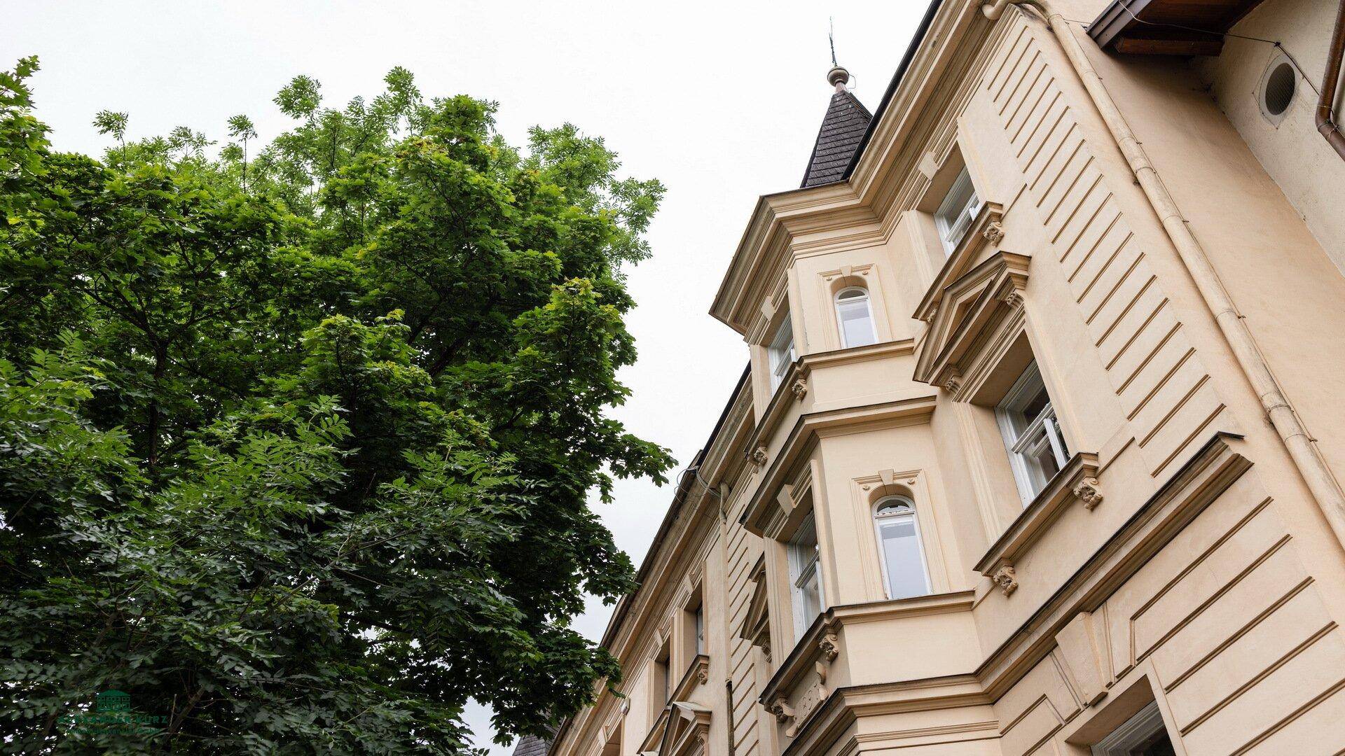Detailansicht einer historischen Gebäudefassade mit verzierten Fenstern und einem großen Baum.