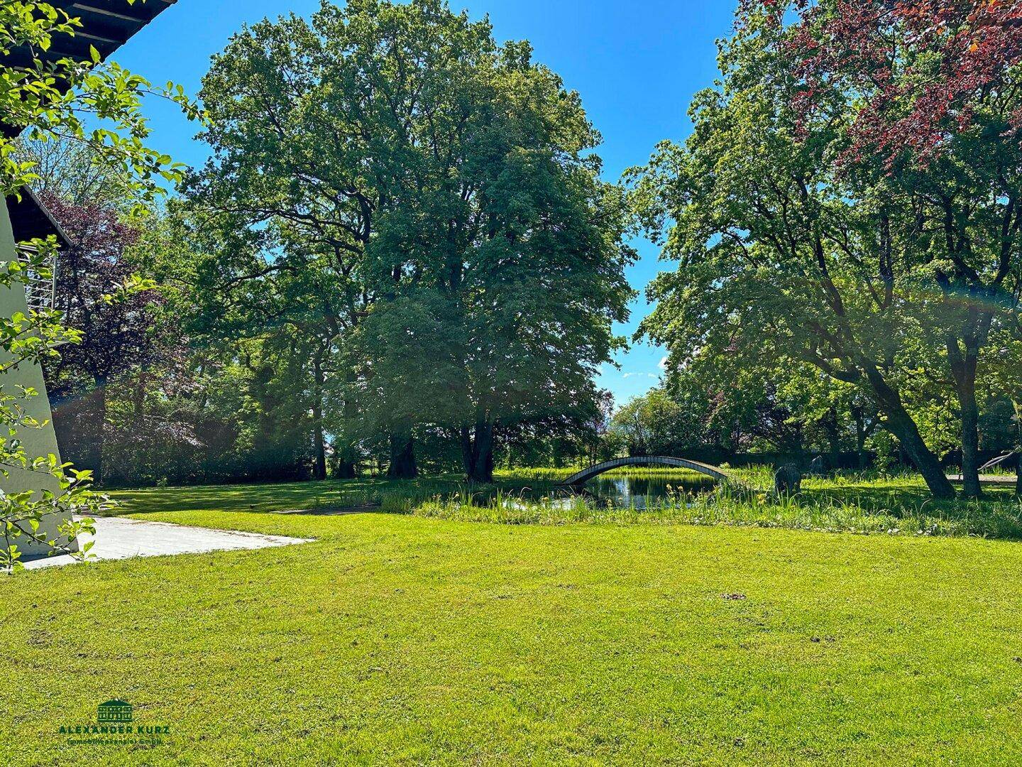 Weitläufige Rasenfläche mit altem Baumbestand und Teich im Hintergrund.