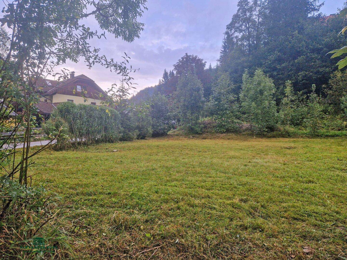 Weitläufige Rasenfläche mit Blick auf ein Wohnhaus und bewaldete Umgebung.