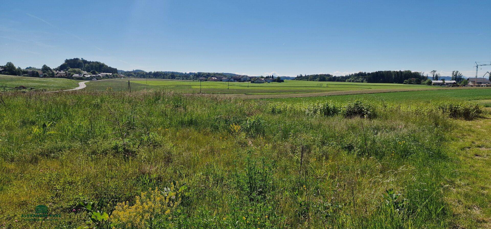 Panoramablick über weite grüne Felder und sanfte Hügel mit vereinzelten Häusern in der Ferne.