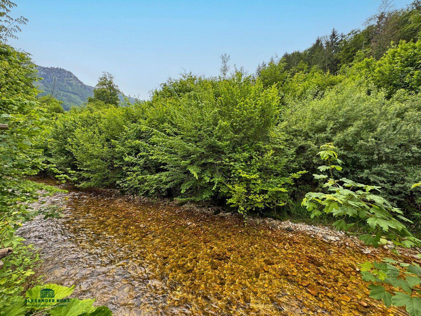 Gartenwohnung, Immobilien-Kurz-Salzburg