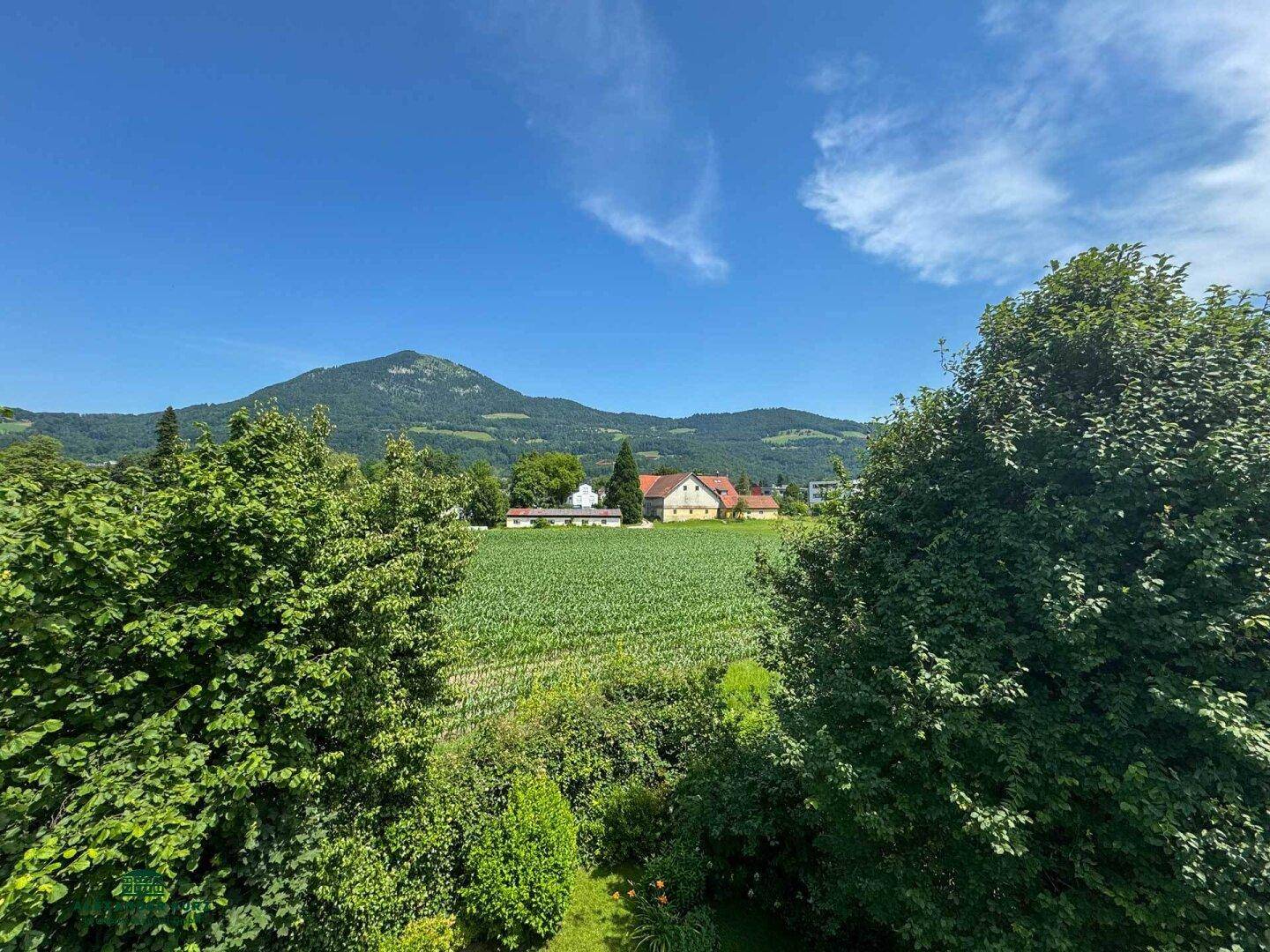 Terrassenwohnung, Immobilien-Kurz-Salzburg