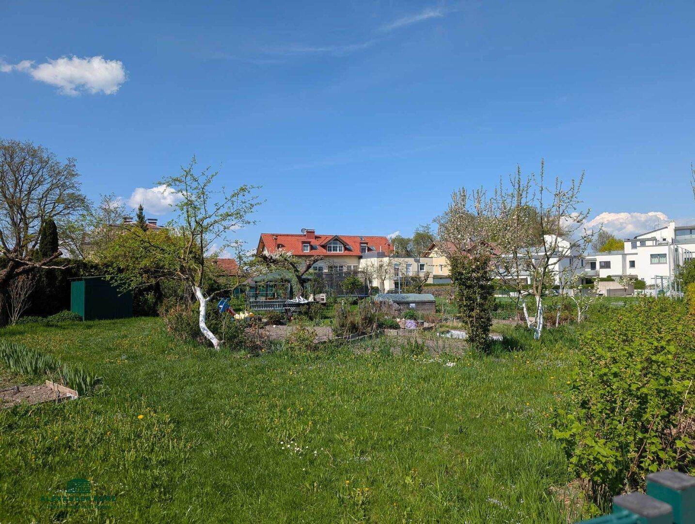 Weitläufiges grünes Grundstück mit angrenzenden Wohnhäusern und viel natürlicher Vegetation unter blauem Himmel.