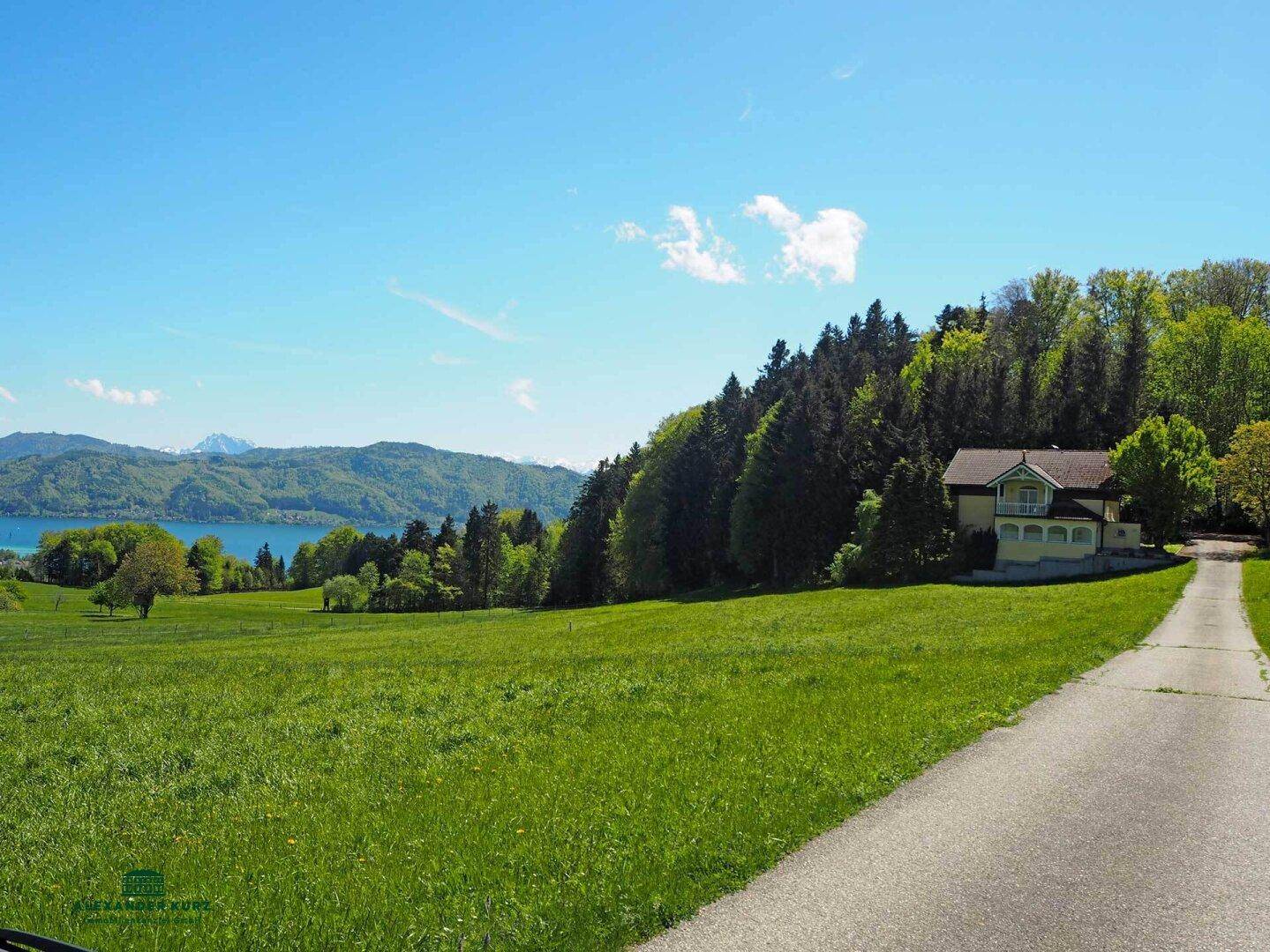 Malerisches Anwesen mit langem Zufahrtsweg, umgeben von grünen Wiesen und Wald, mit Seeblick.