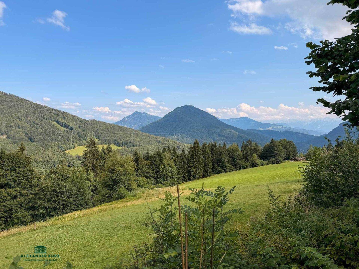 Malerische Aussicht auf eine weite grüne Berglandschaft unter einem strahlend blauen Himmel.