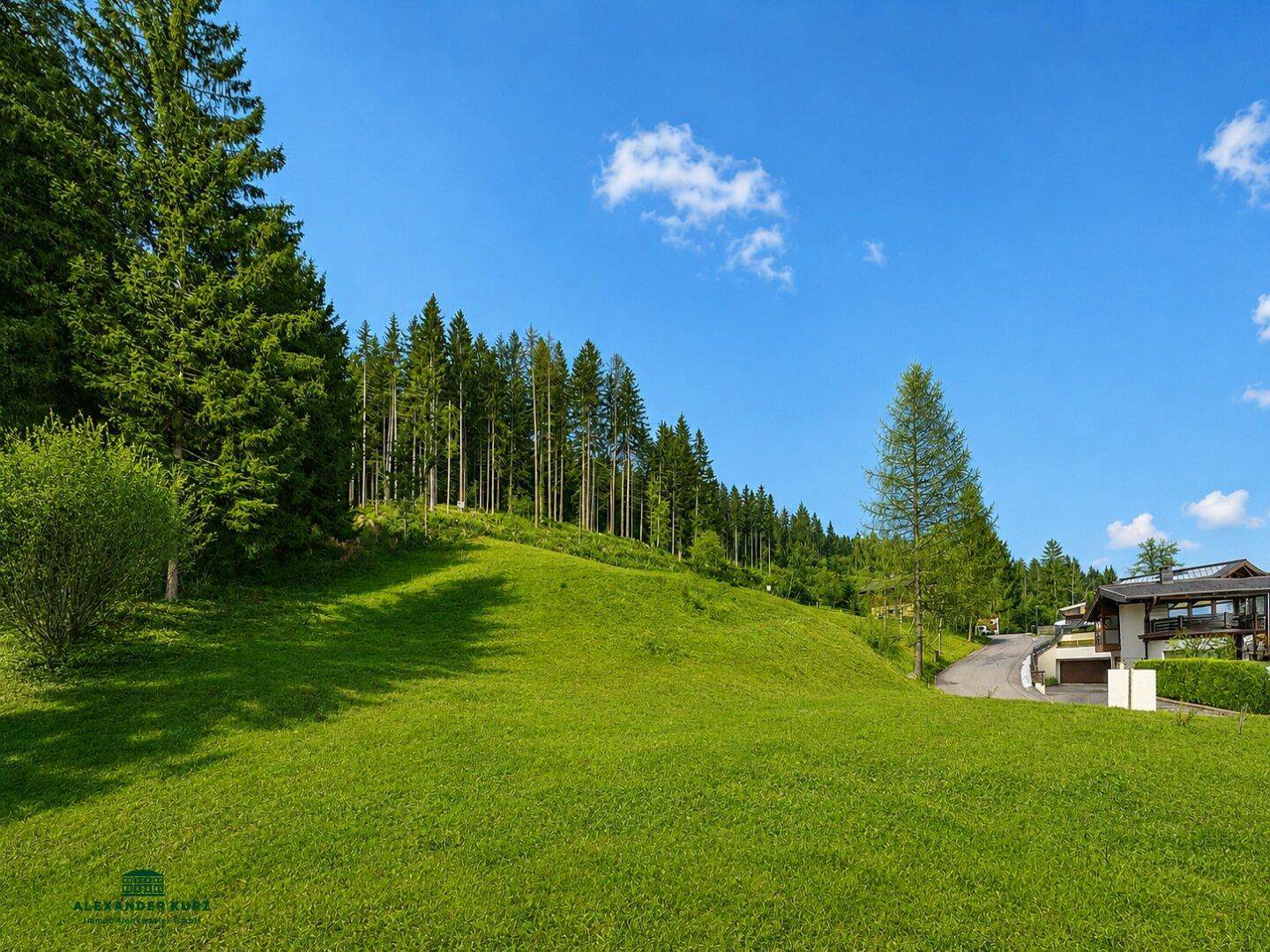 Weitläufige grüne Wiesenlandschaft mit dichtem Wald und Häusern in der Ferne unter blauem Himmel.