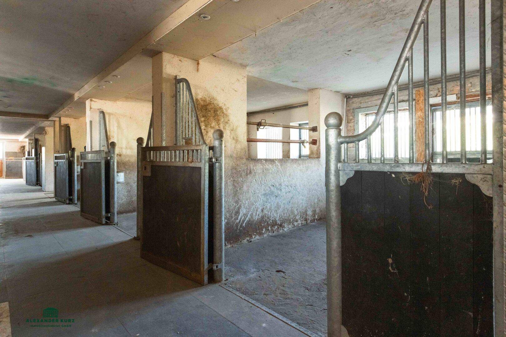Innenansicht eines Pferdestalls mit mehreren Boxen und Gittertüren, die auf einen Gang führen.