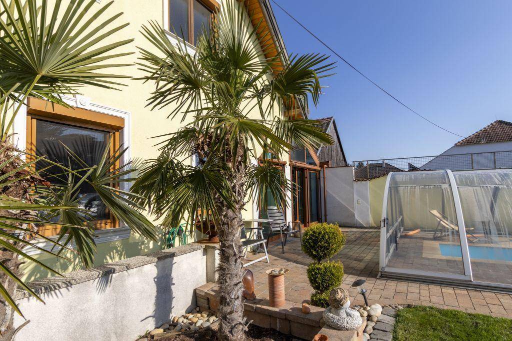 Sonniger Gartenbereich mit Palmen, gepflasterter Terrasse und einem überdachten Swimmingpool.