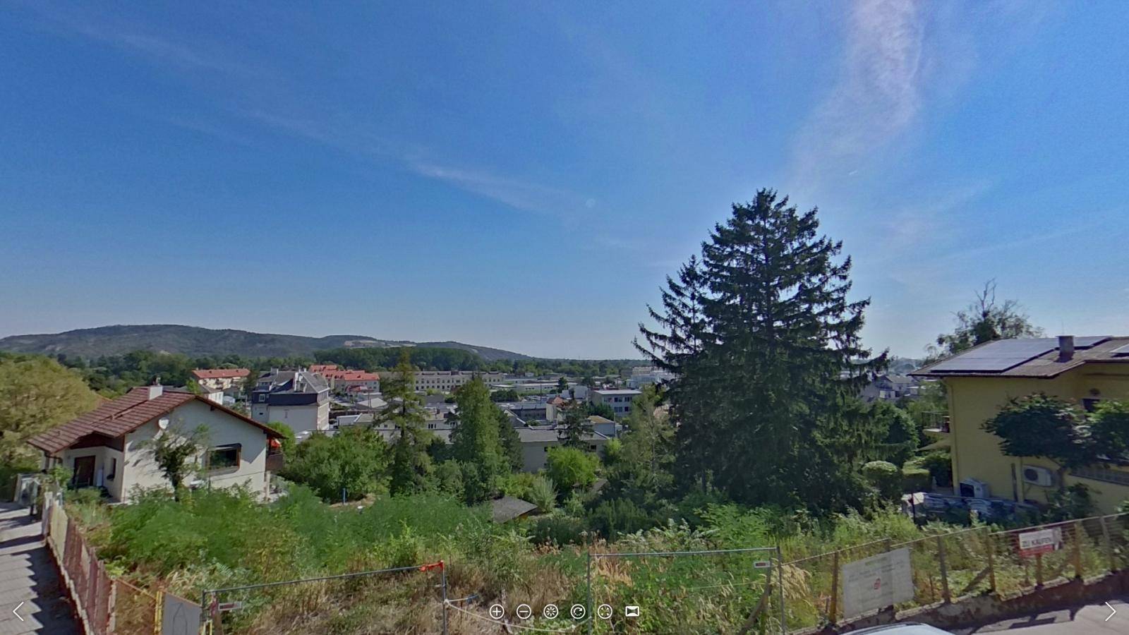 Weitläufiger Blick über eine Stadt mit grünen Hügeln und einem großen Nadelbaum im Vordergrund.
