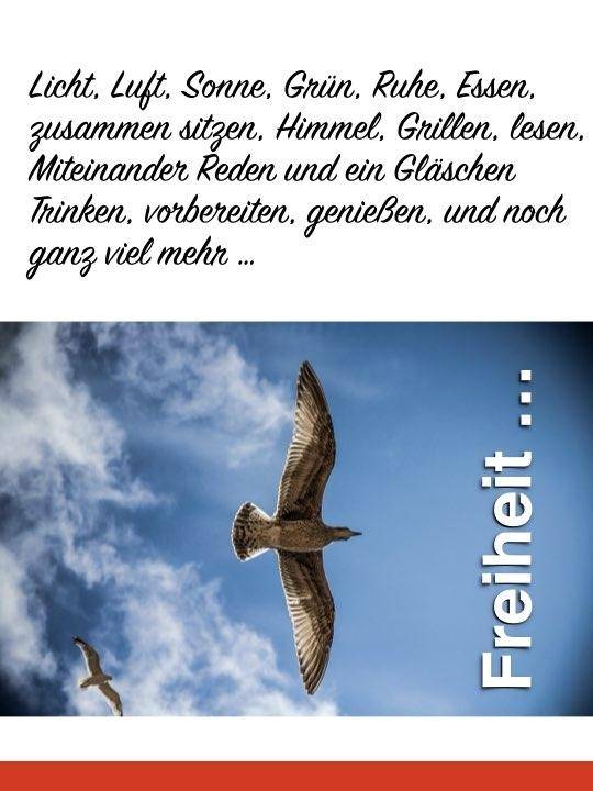 Traumwohnung .006