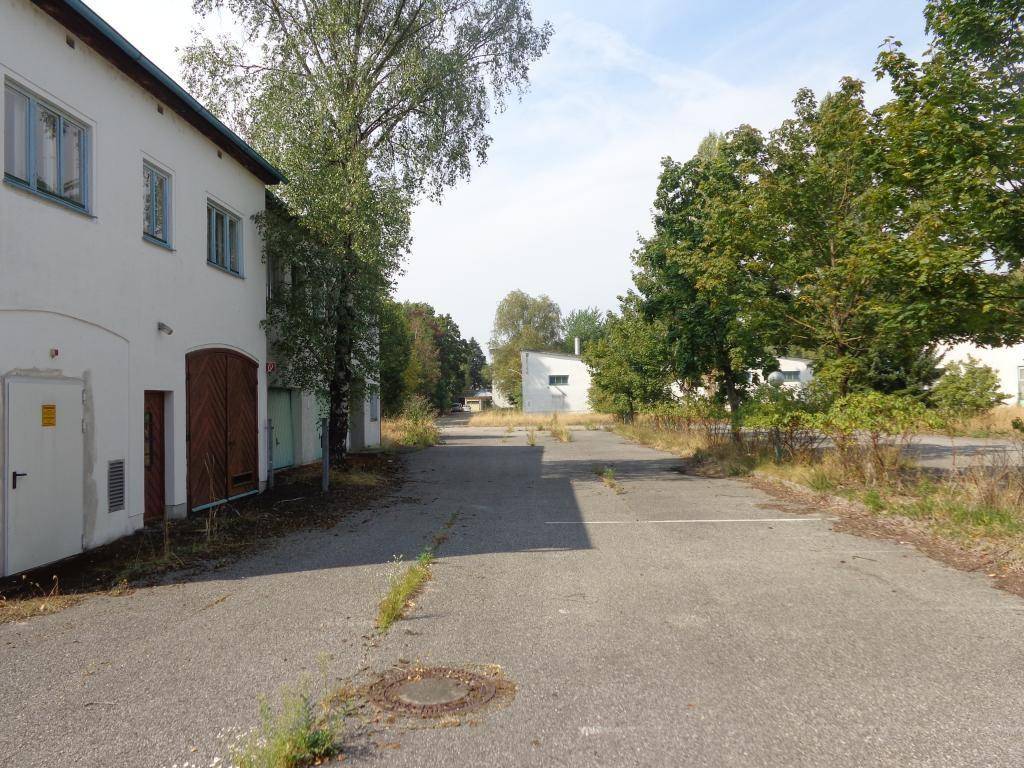 Eine asphaltierte Straße mit mehreren Gebäuden und Bäumen im Hintergrund, die eine ländliche Umgebung zeigen.