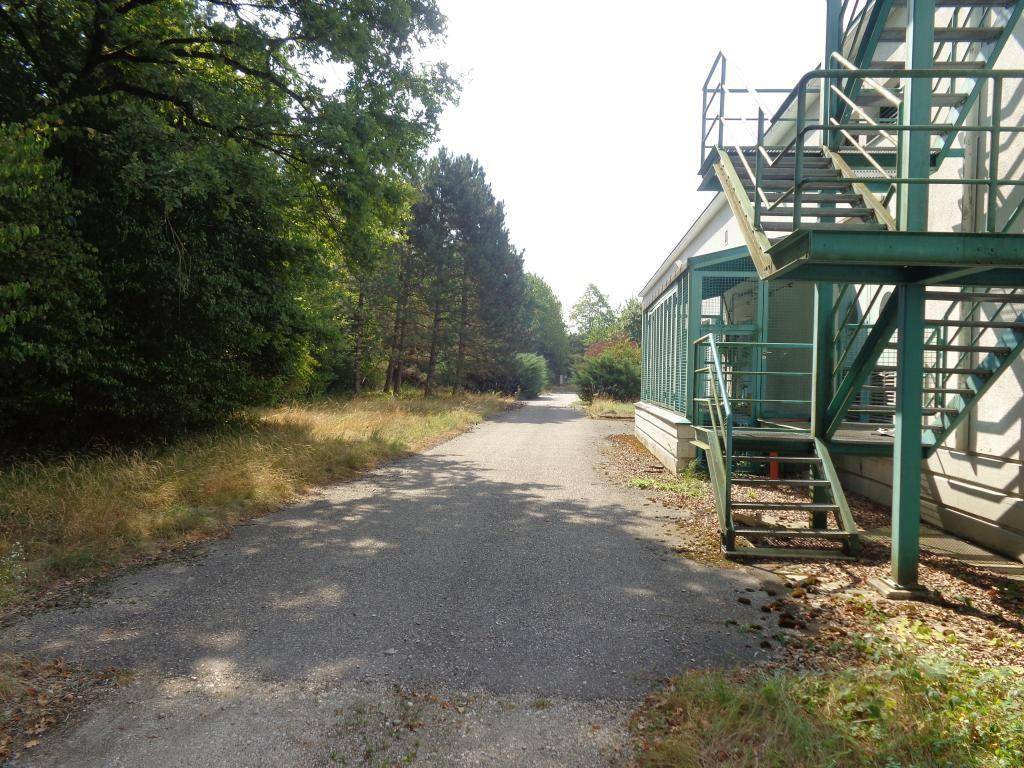 Eine asphaltierte Straße führt an einem Gebäude mit Außentreppe und umgebenden Bäumen vorbei.