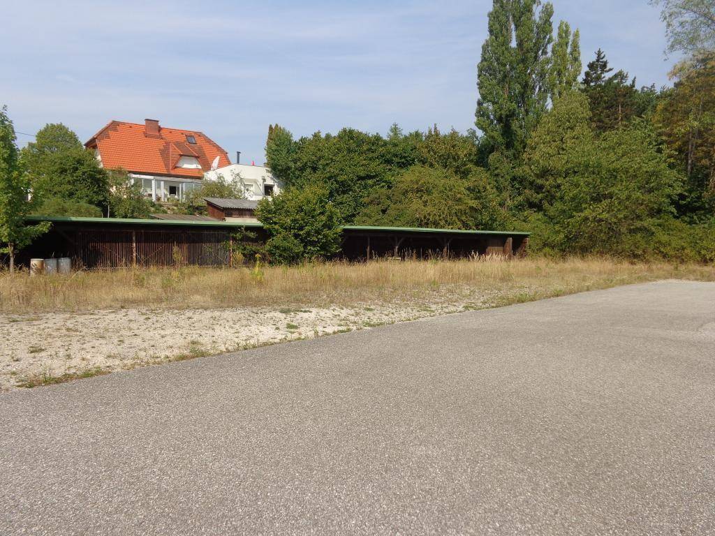 Eine weite Fläche mit Gras und Bäumen, im Hintergrund sind ein Haus und Unterstände zu sehen.